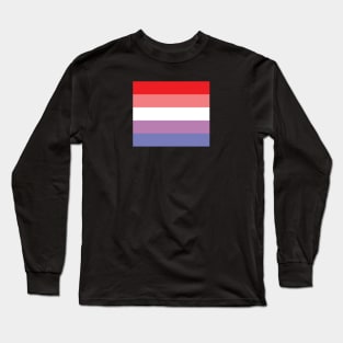 AMAB DMAB Queer Pride Flag Long Sleeve T-Shirt